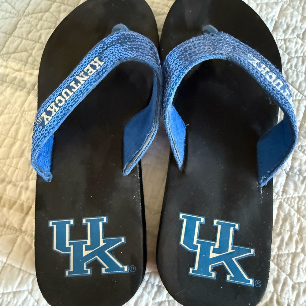 Blue and Black Flip Flops